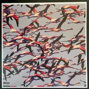 Vinyl (LP) Deftones - Gore (2LP)