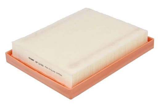 Oro filtras FILTRON AP 124/8