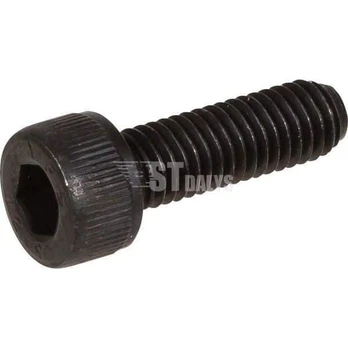 Lizdo galvutės varžtas M 5x16