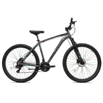 UMIT Solaris XC 29" // 21G, dydis 18" (46 cm) (pilka/mėtinė)