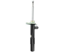BILSTEIN 22-184283 Shock absorber kaina