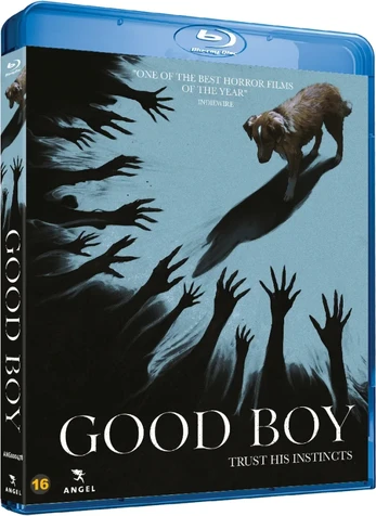 Angel GOOD BOY - (Blu-Ray)