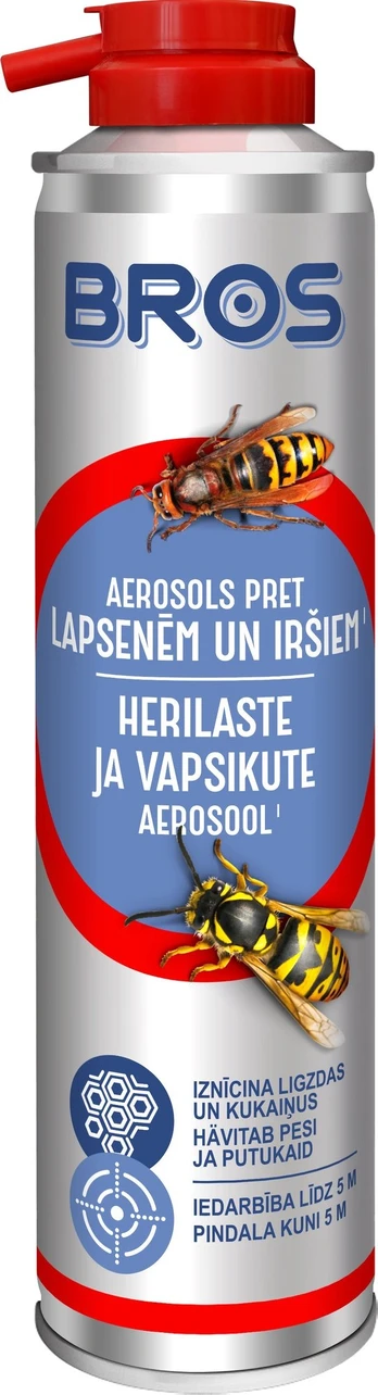 Aerozolis Bros, 300 ml