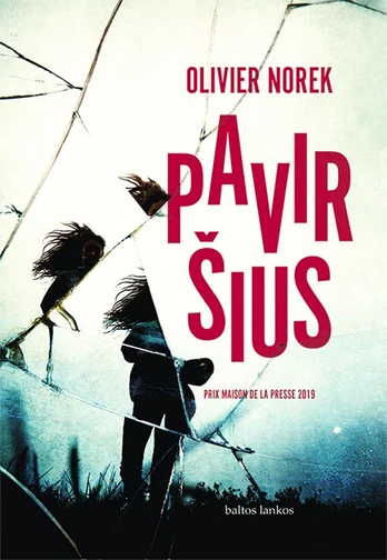 Paviršius