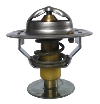 termostatas, aušinimo skystis THERMOTEC D2CU002TT