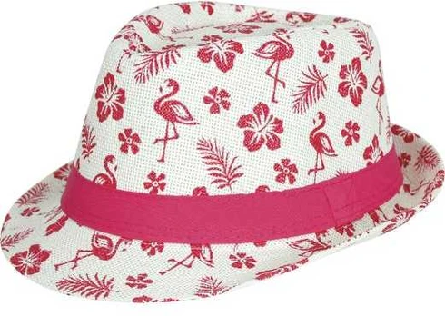 Fiesta Flamingo hat