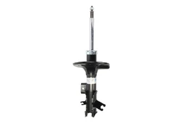 BILSTEIN 22-118691 Shock absorber kaina