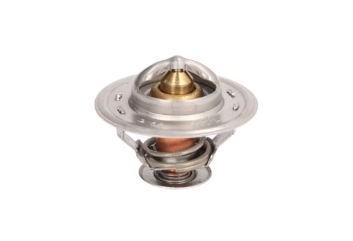 termostatas, aušinimo skystis THERMOTEC D2CA004TT