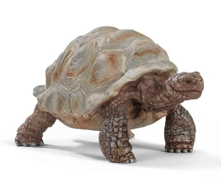 Figūrėlė Schleich Figūrėlė Żółw gigant wild life