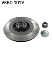 Stabdžių diskas SKF VKBD 1019 kaina