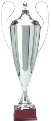 TRYUMF Puchar METALOWY Sidabrinė T-D (1042-N/C) kaina