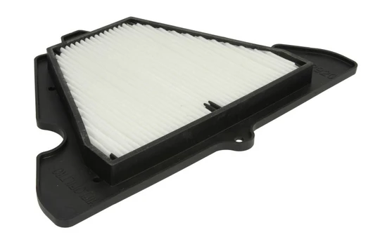 Oro filtras HIFLO HFA2920