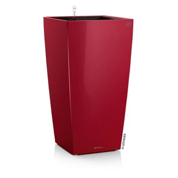 Vazonai Lechuza Cubico Premium 50, raudoni