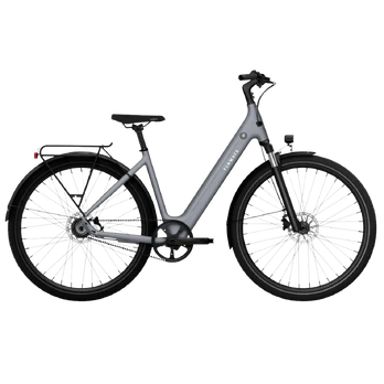 Electric bicycle TENWAYS CGO800S (2025) Pebble Grey