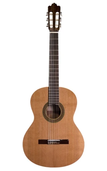 No Name Prodipe Guitars Recital 200 4/4 - gitara klasyczna