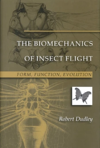 Biomechanics of Insect Flight