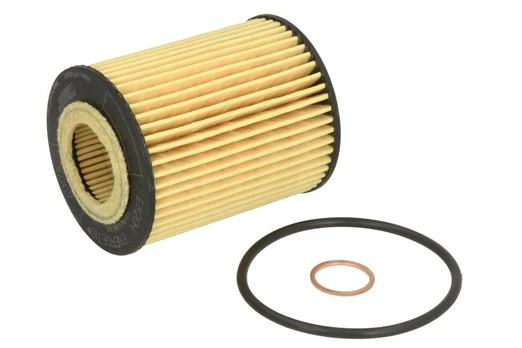 Alyvos filtras HENGST FILTER E820HD245