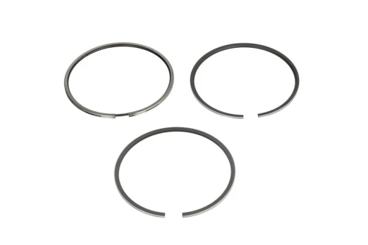 MAHLE 030 20 N0 Piston ring set
