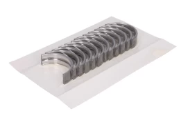 GLYCO H1294/6 0.25MM Main bearing set kaina