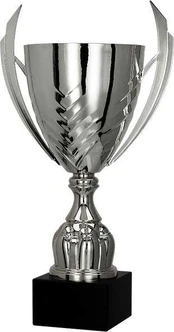 Detal Sidabrinis metalinis puodelis