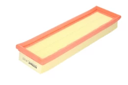 Oro filtras FILTRON AP079 kaina