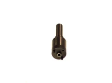 BOSCH  2 437 010 080 Injector nozzle kaina