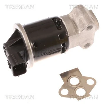 ERG vožtuvas TRISCAN 8813 21100