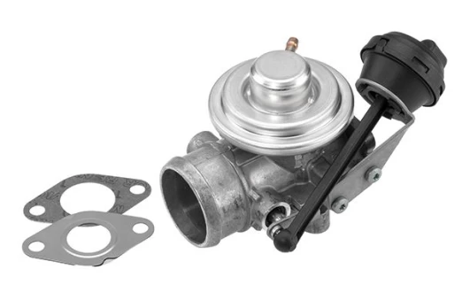 ERG vožtuvas BorgWarner (Wahler) 7301D