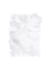 Plunksnos 5-12cm 10g, baltos kaina
