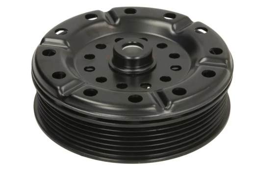 Kondic. kompresoriaus sankabos kompl. (DENSO 5SE/6SE 6PK 125mm)