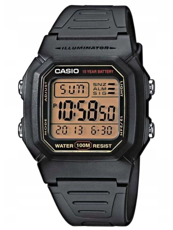 Laikrodis MEN'S CASIO W-800HG-9AVDF CLASSIC + BOX