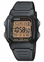 Laikrodis MEN'S CASIO W-800HG-9AVDF CLASSIC + BOX kaina