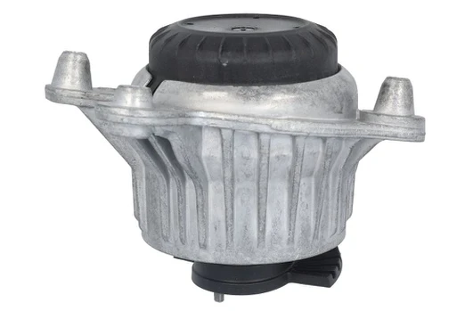Variklio montavimas LEMFÖRDER 45733 01