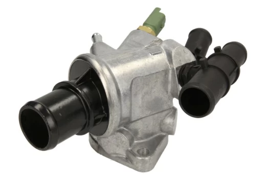 termostatas, aušinimo skystis THERMOTEC D2F006TT