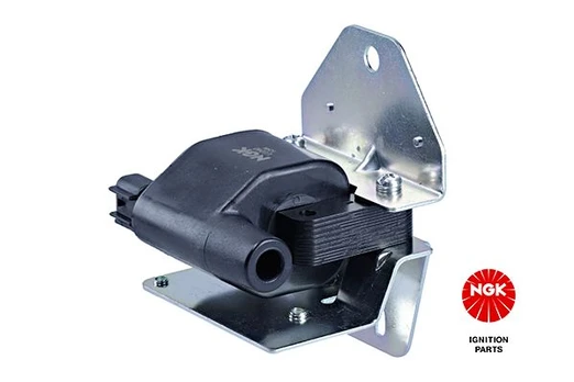 Ritė, uždegimas NGK 48182