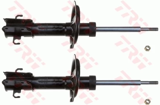 Amortizatorius TRW JGM229T