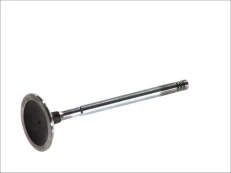 FRECCIA 6002/SCR Inlet valve kaina