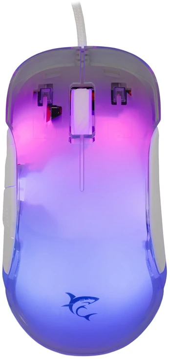 Baltasis ryklys GM-5017 Mordred White