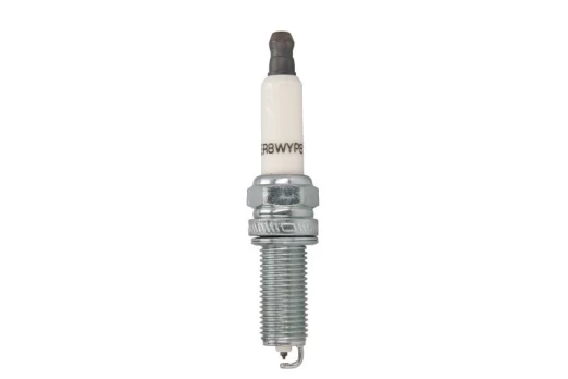 CHAMPION OE250 Spark plug