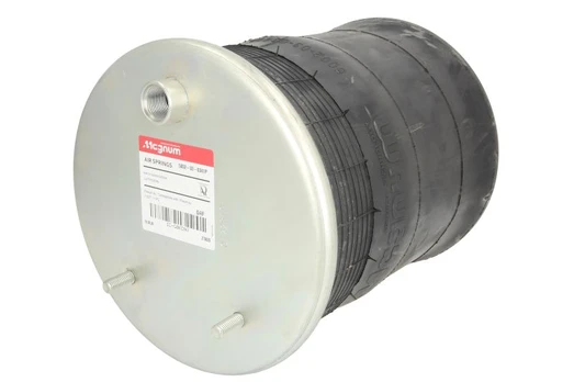 Pneumatinės pakabos kamera 5002-03-0341P