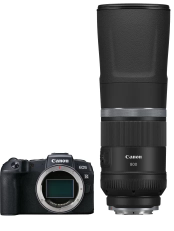 Canon EOS RP + RF 800mm f/11 IS STM