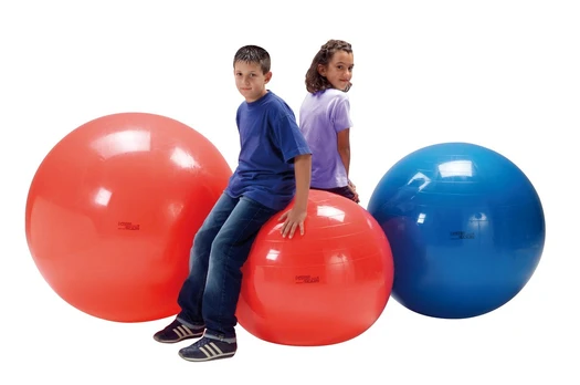 Kamuolys Physio Gymnic 85 cm