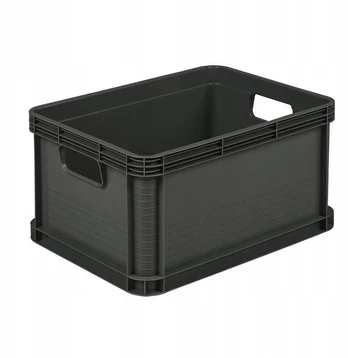 Organizer dėžė sandėliavimui 40x30 H22 Robert 20l
