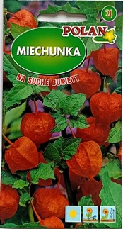 Paprastoji dumplūnė Polan