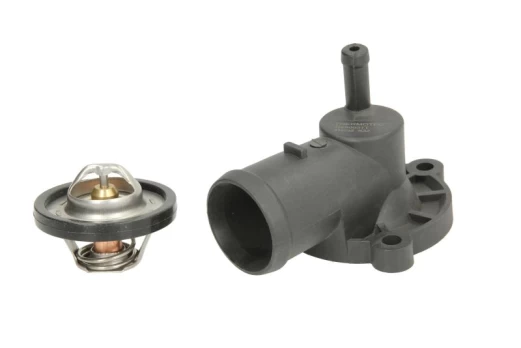 termostatas, aušinimo skystis THERMOTEC D2S003TT