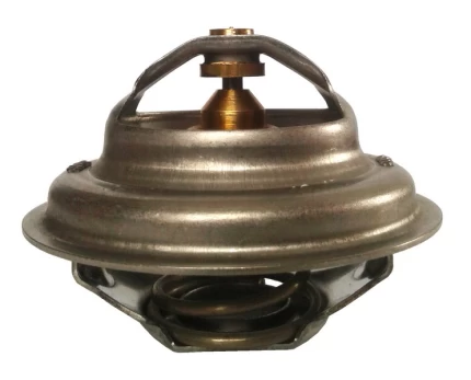 termostatas, aušinimo skystis THERMOTEC D2UR005TT