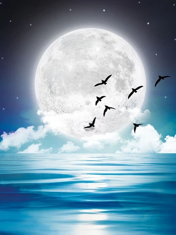 Deimantinė mozaika su rėmeliu TM Varvikas Under the Moonlight LE141e 30x40 cm