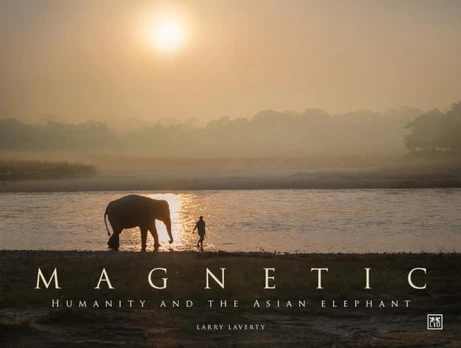 Magnetic, Humanity and the Asian elephant