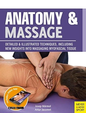 Anatomy & Massage