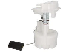 DELPHI FG1001-12B1 Electric fuel pump kaina